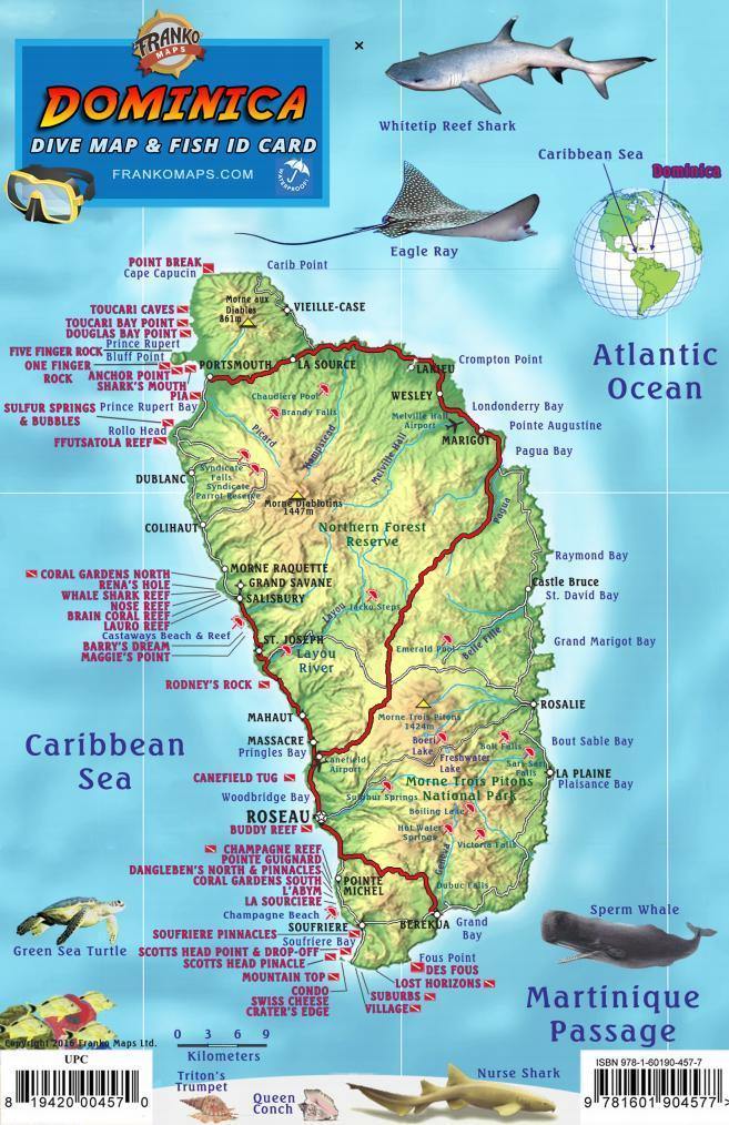 Dominica Fish Card - Frankos Maps