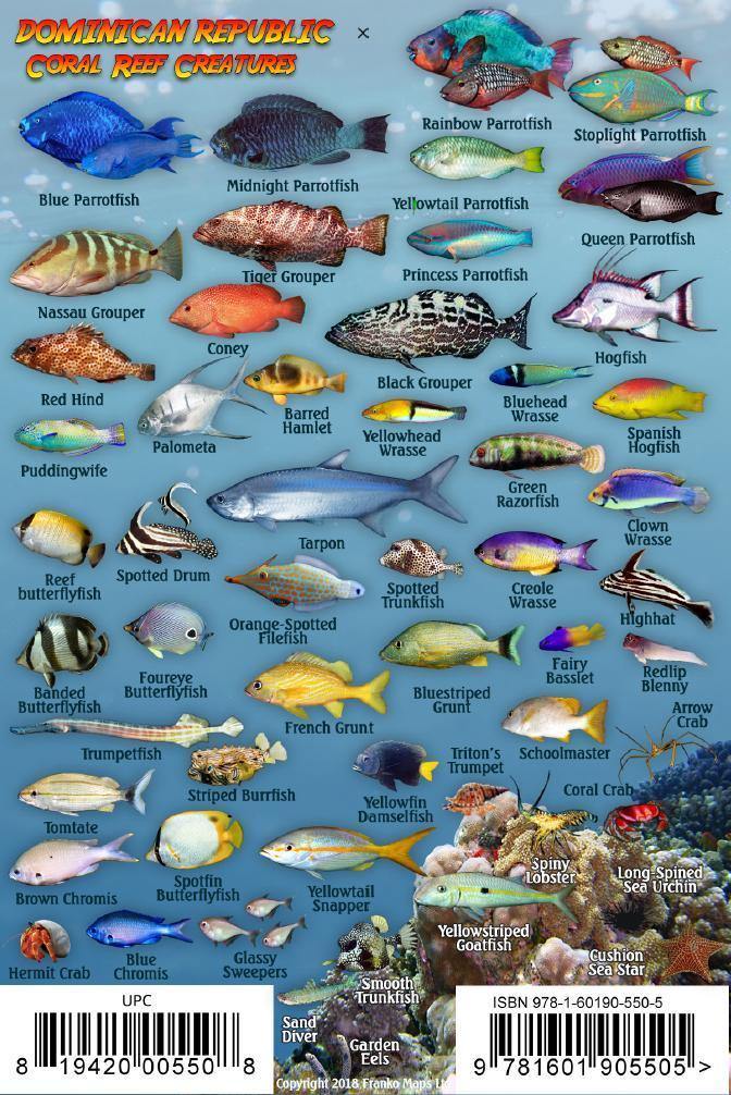 Dominican Republic Mini Fish Card - Frankos Maps