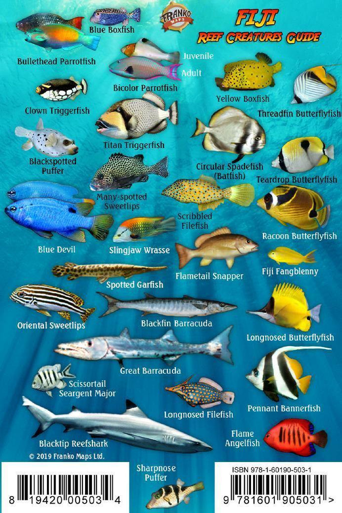 Fiji Mini Fish Card - Frankos Maps
