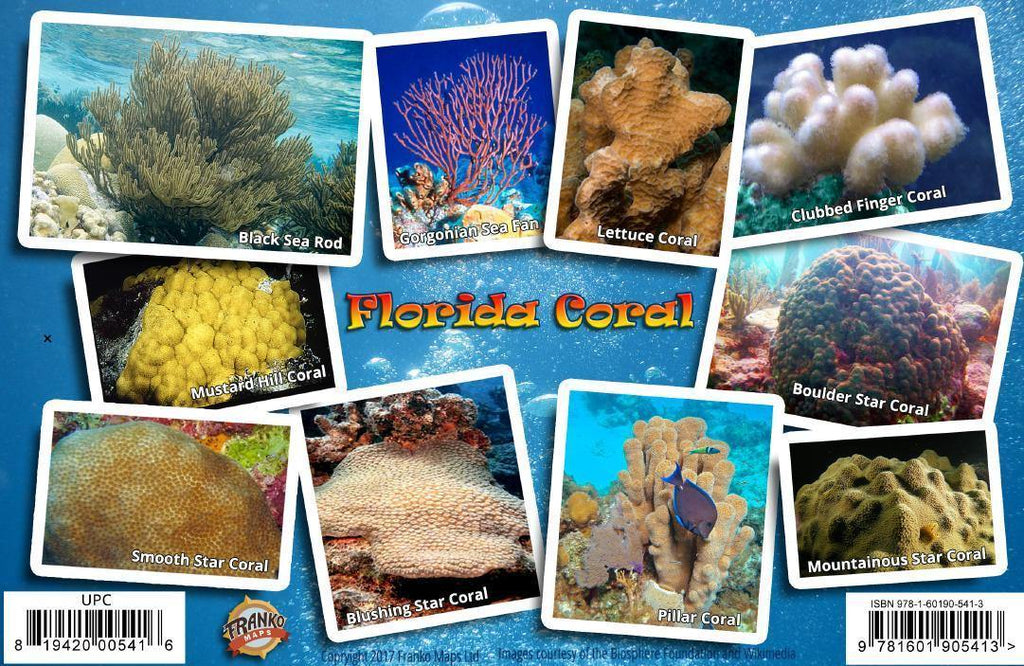 Field Guide Corals Florida Coral Guide Card – Franko Maps