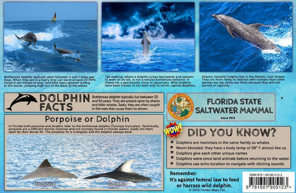 Florida Dolphins Guide Card - Frankos Maps