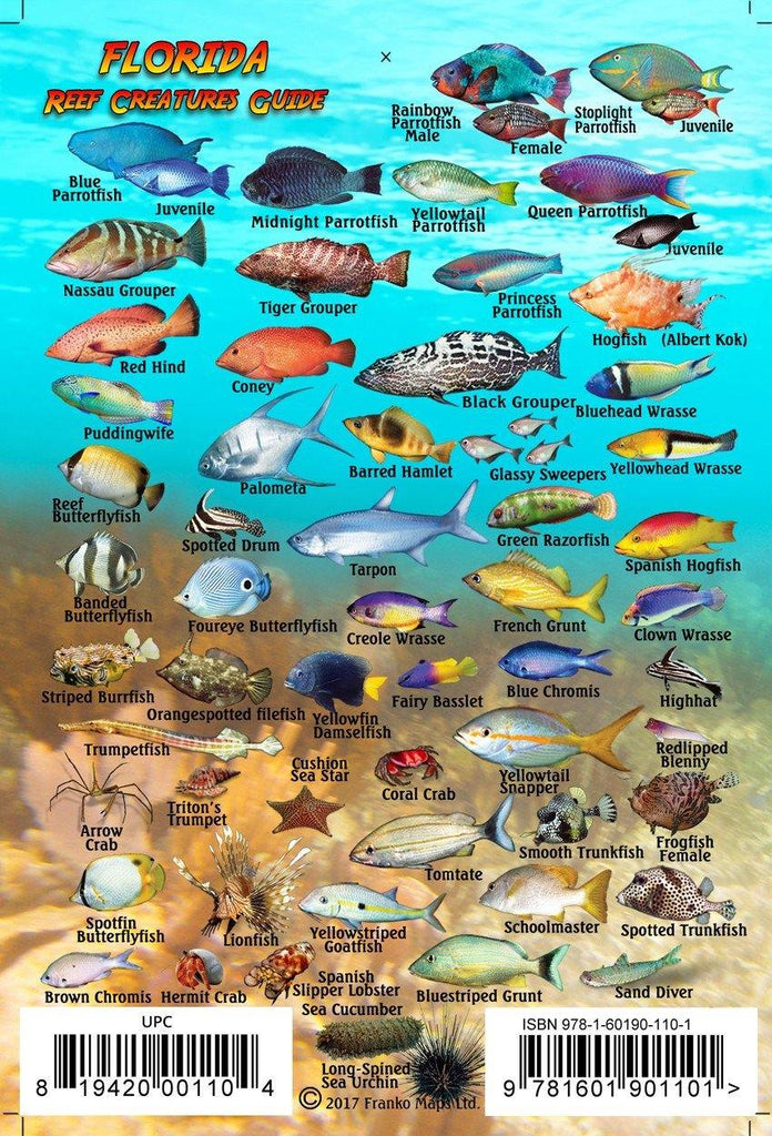 Florida Mini Fish Card - Frankos Maps