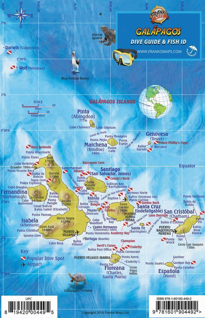 Galapagos Islands Fish Card - Frankos Maps