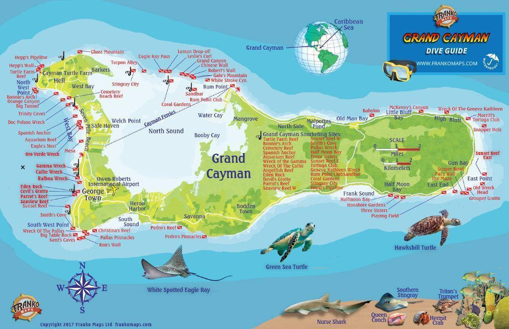 Grand Cayman Island Fish Card - Frankos Maps