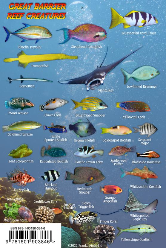 Great Barrier Reef Mini Fish Card – Franko Maps