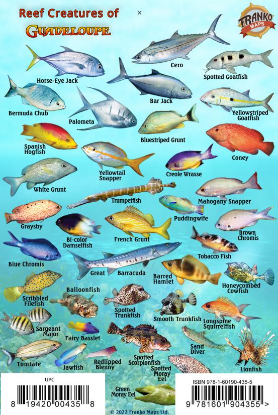 Guadeloupe Mini Fish Card – Franko Maps