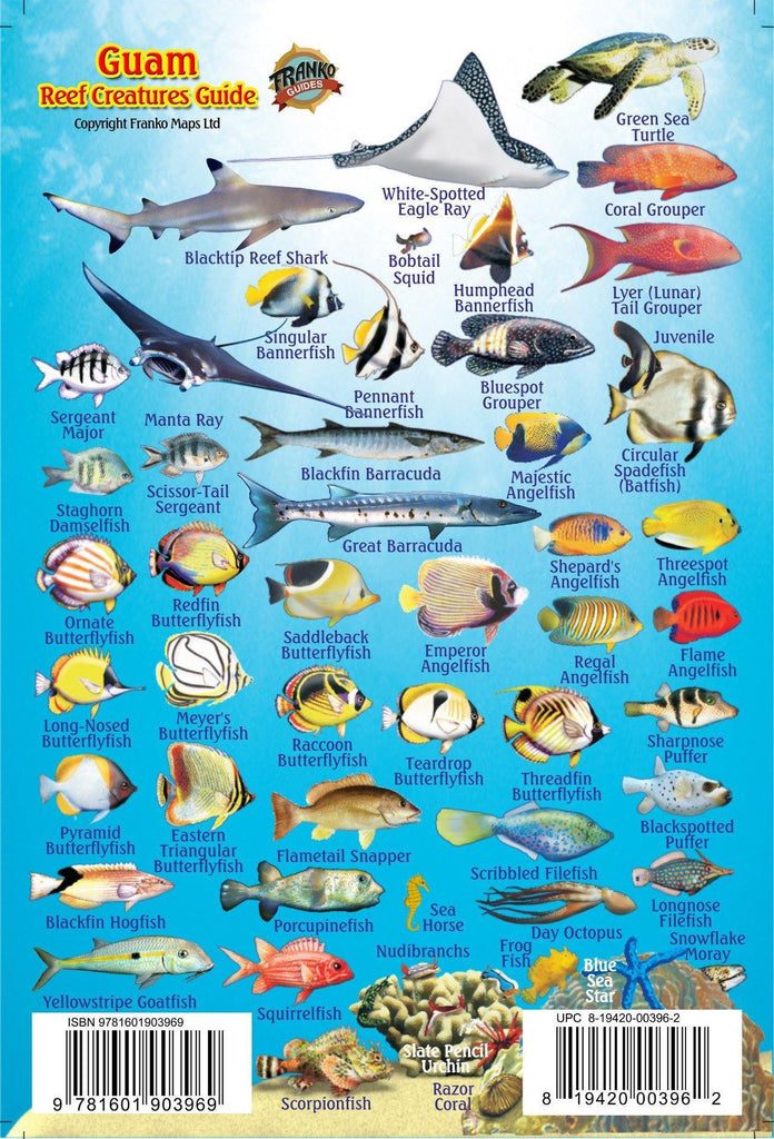 Guam Mini Fish Card - Frankos Maps