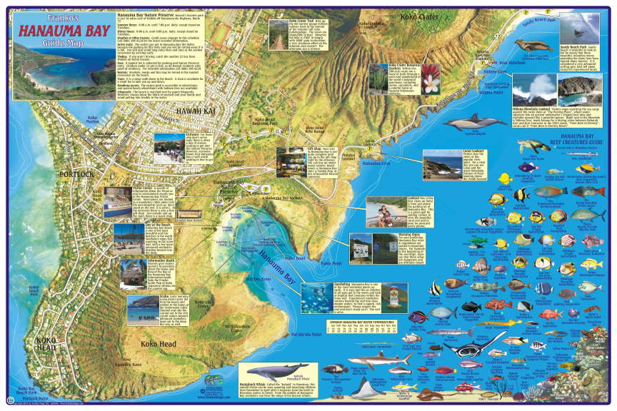 Hanauma Bay Guide Map Franko Maps   HawaiiMapHanaumaBayGuideSide2 1200x1200 