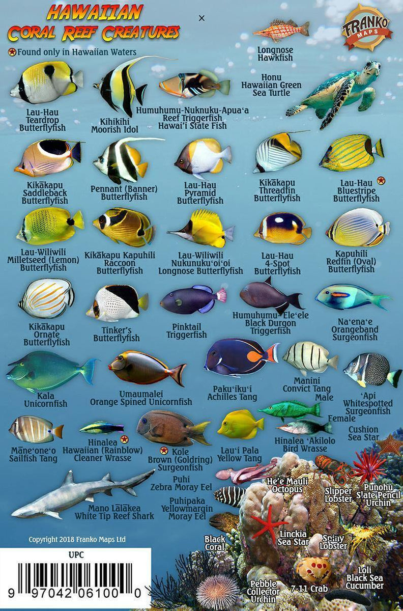 Hawaiian Islands Mini Fish Card – Franko Maps