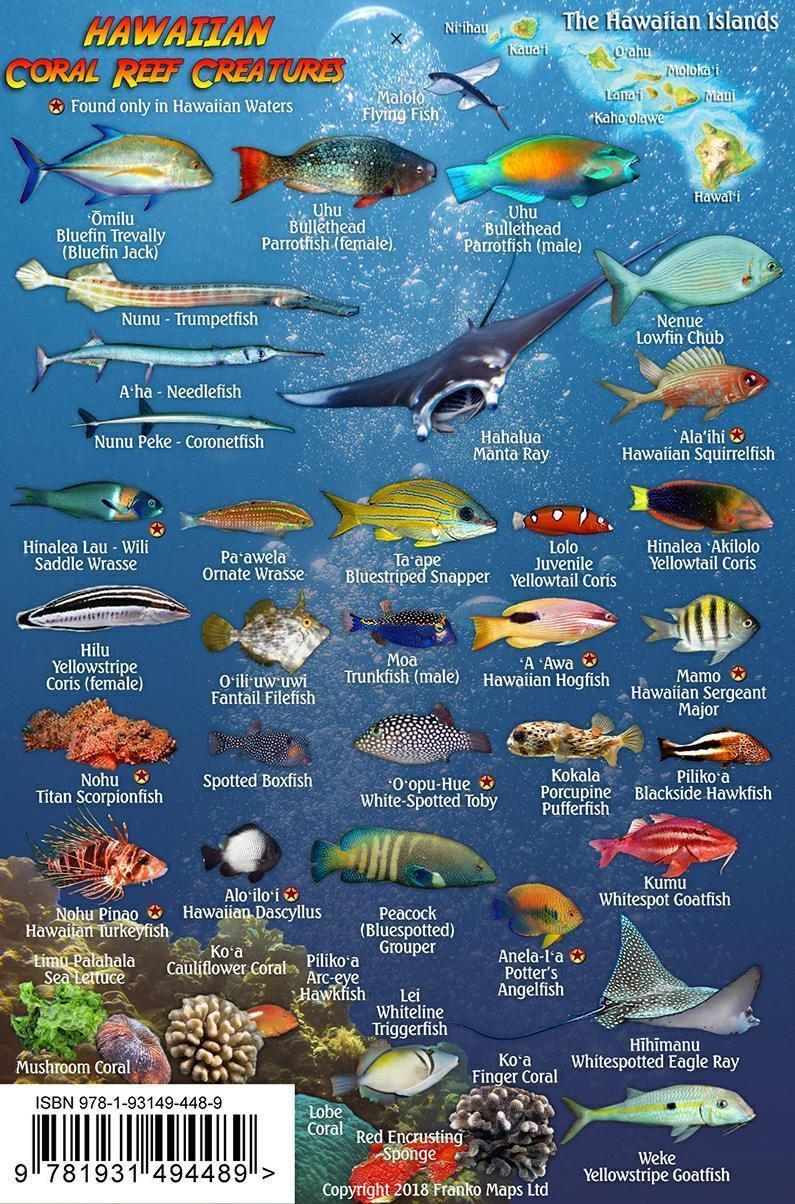 Native Fish Hawaii Names Of Edible Hawaiian Fish