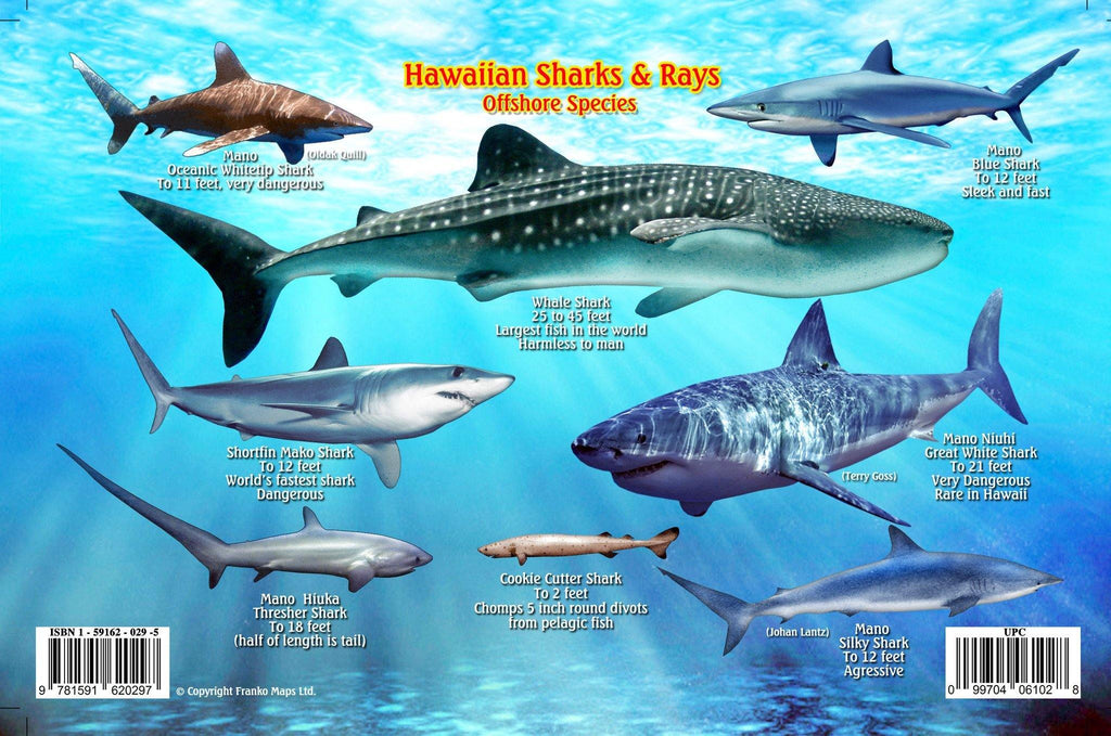 Hawaiian Sharks & Rays Card - Frankos Maps