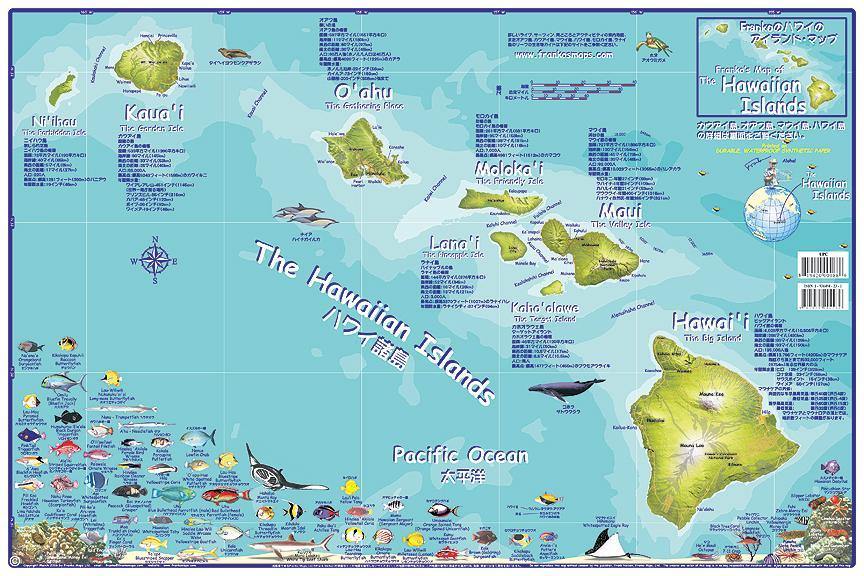 Hawaiian Islands Adventure Guide Map - Japanese Edition - Frankos Maps