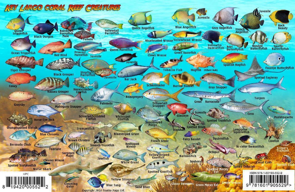 John Pennekamp Coral Reef State Park Fish Card - Frankos Maps