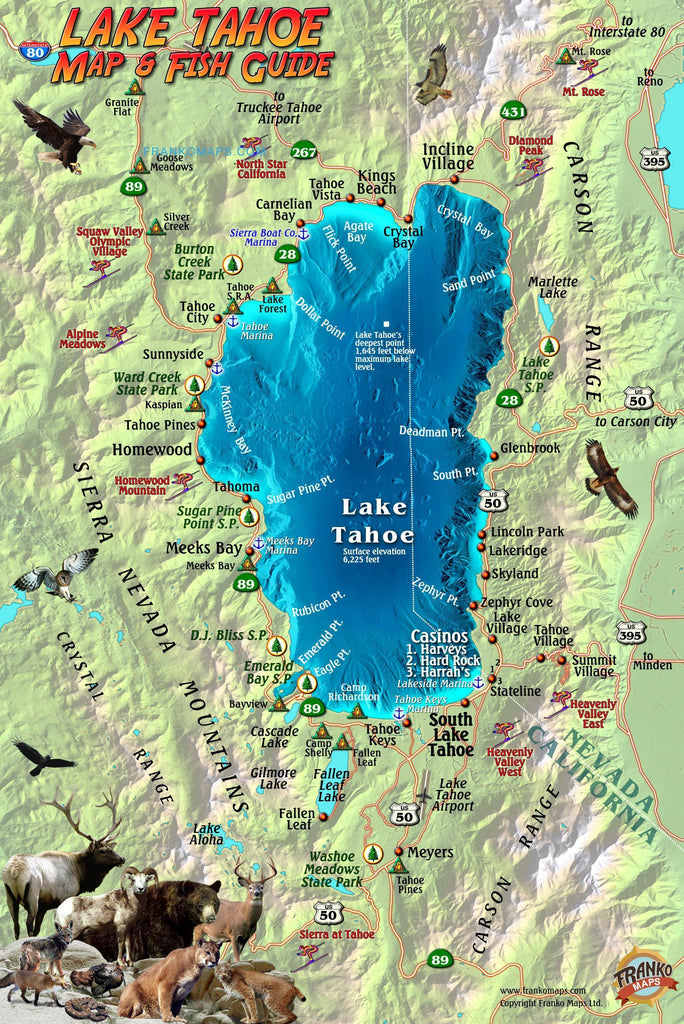 Lake Tahoe Guide & Fish Card - Frankos Maps