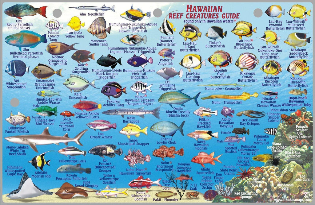 Lanai Fish Card - Frankos Maps