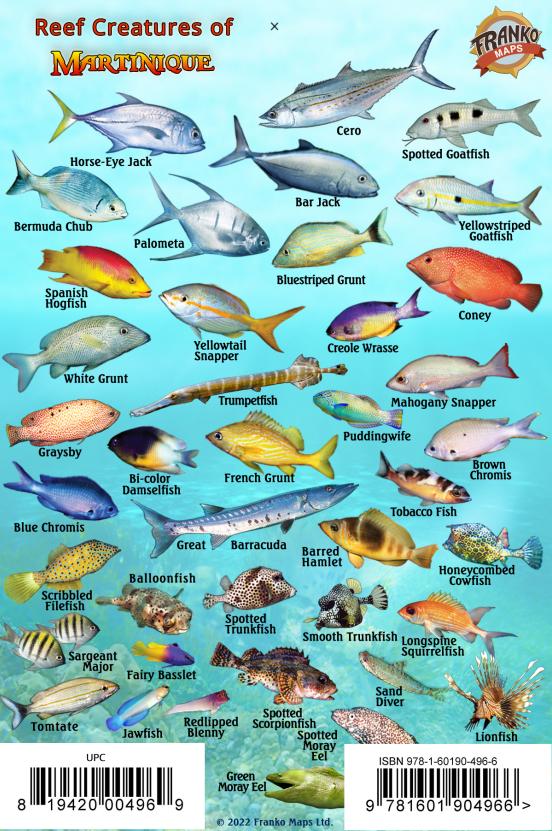 Fish Martinque Martinique Mini Fish Card – Franko Maps