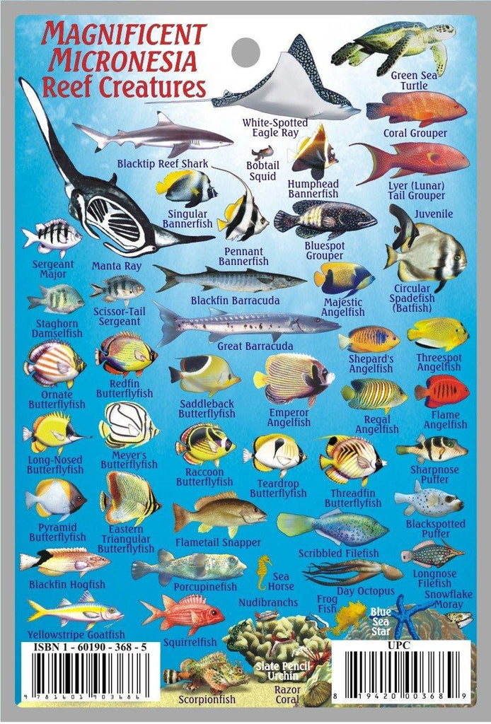Micronesia Mini Fish Card - Frankos Maps