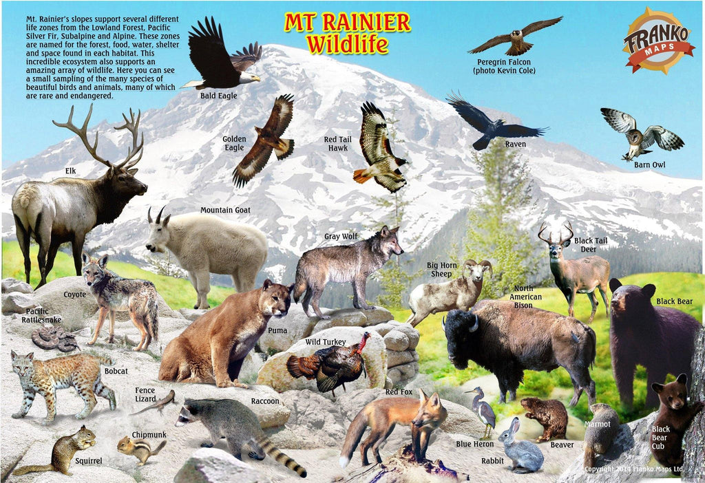 Mt Rainier National Park Guide Card - Frankos Maps