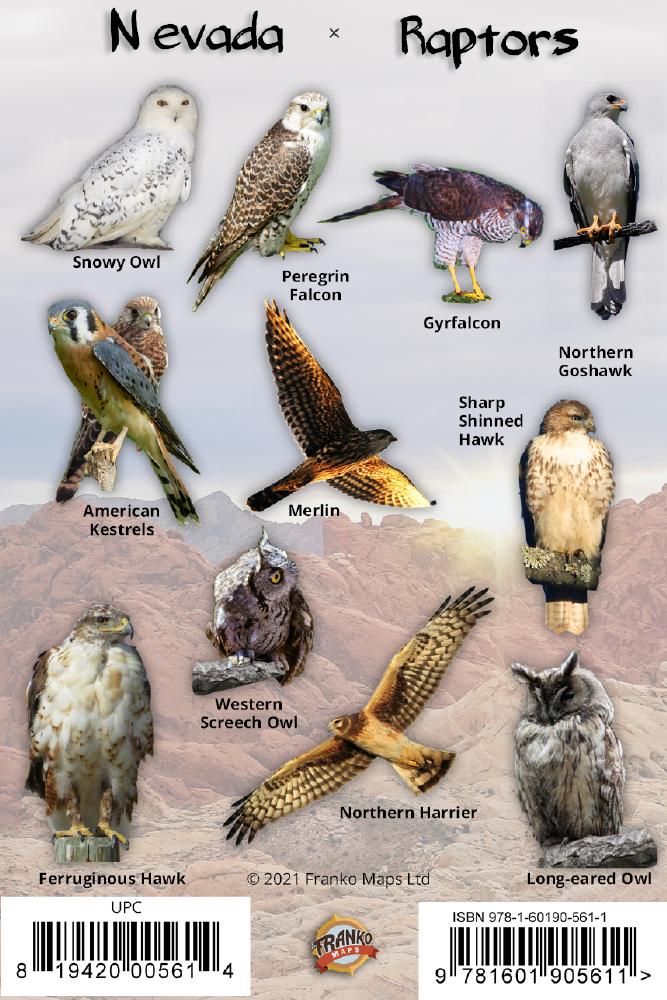 Nevada Raptors Nevada Raptors Identification Card – Franko Maps