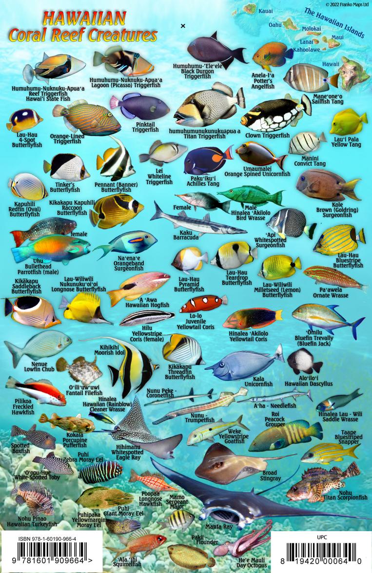 Oahu Fish Card – Franko Maps