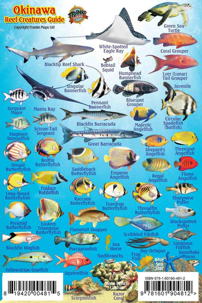 Okinawa Mini Fish Card - Frankos Maps