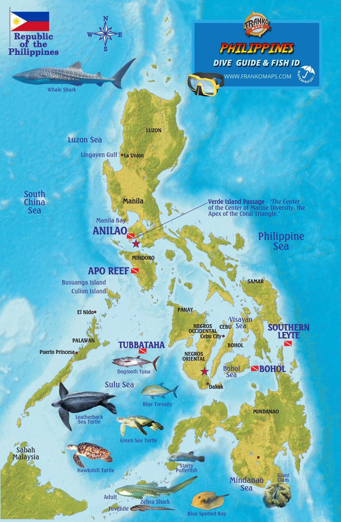 Philippines Fish Card - Frankos Maps