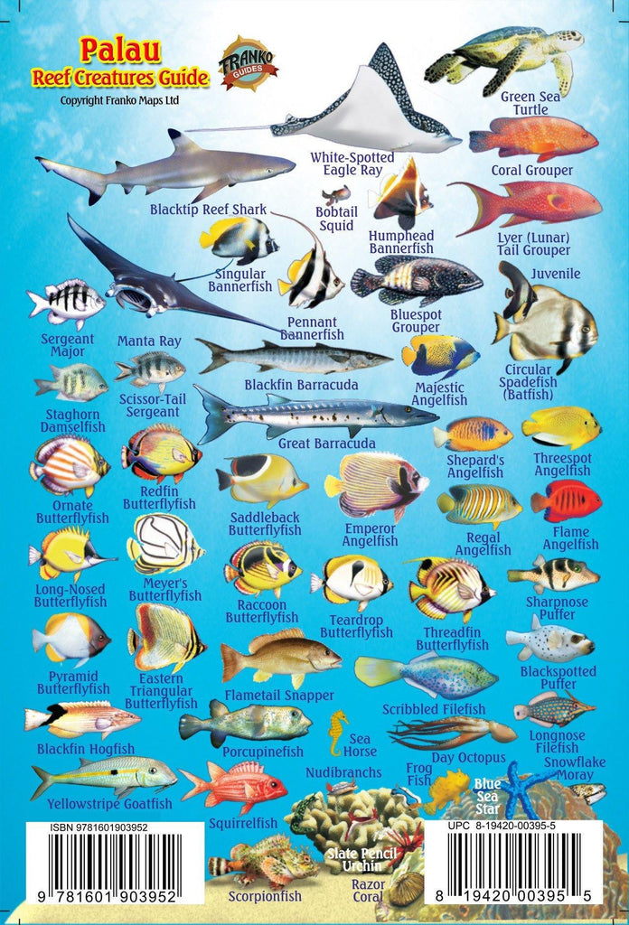 Palau Mini Fish Card - Frankos Maps