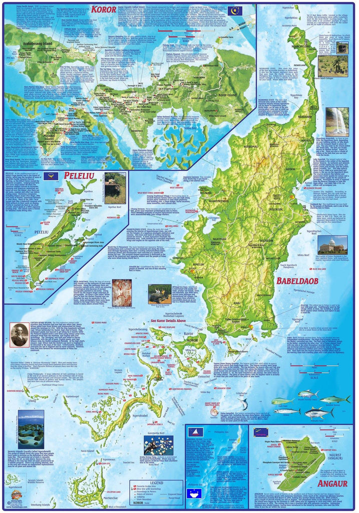 Palau Adventure & Dive Guide Map Laminated Poster - Frankos Maps