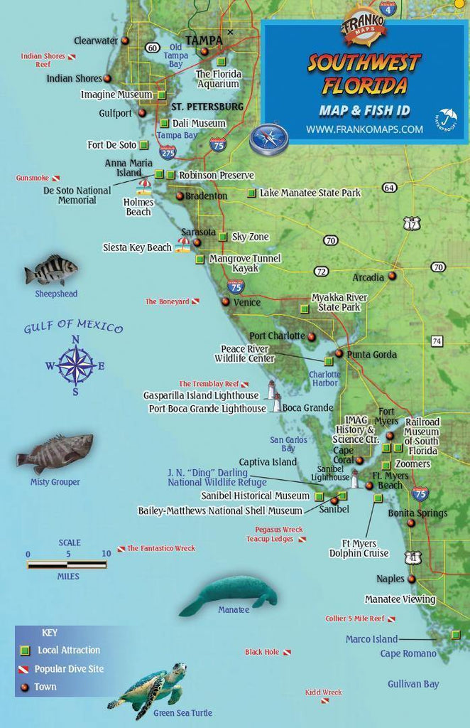 Southwest Florida Fish Card - Frankos Maps