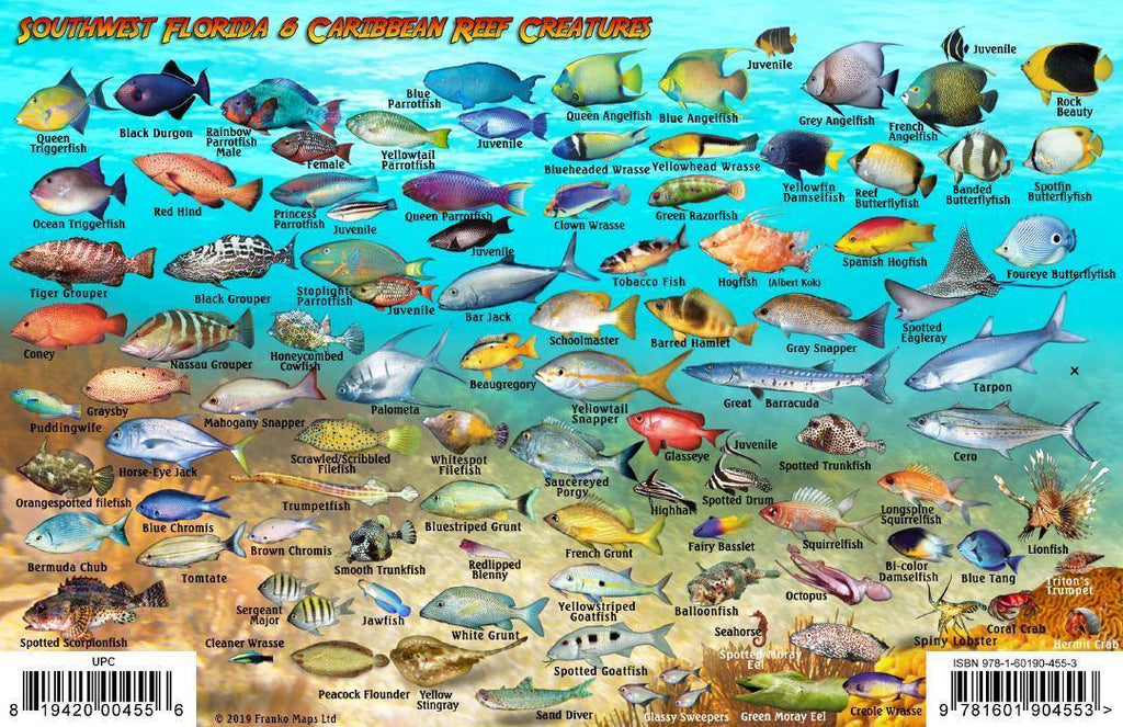 Southwest Florida Fish Card - Frankos Maps