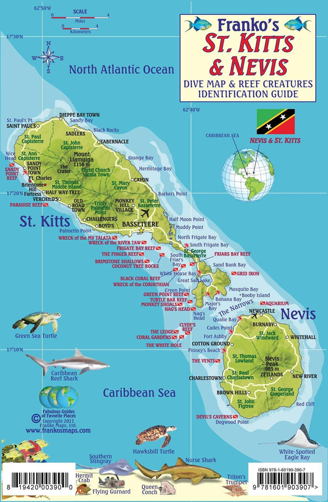 St Kitts & Nevis Fish Card - Frankos Maps