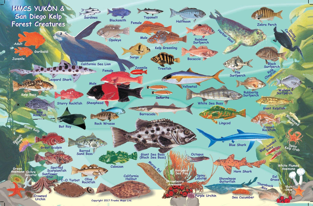 Southern California Fish identification by Franko Maps.